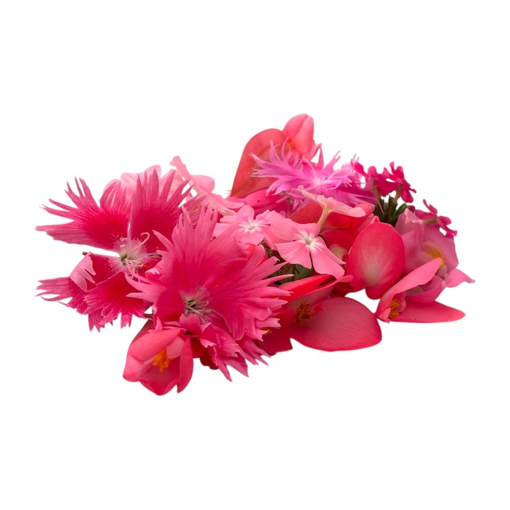Fiori eduli rosa