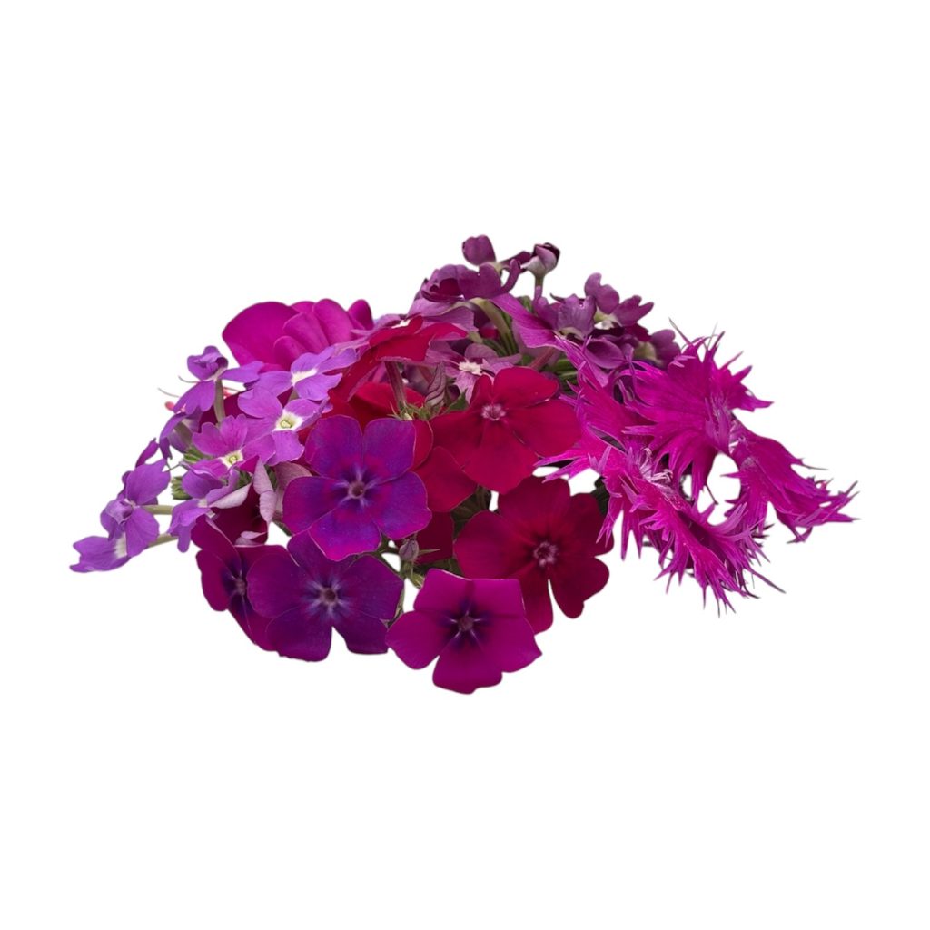 Fiori eduli viola