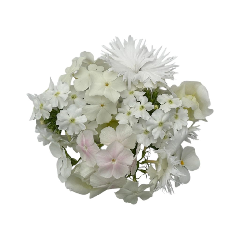Fiori eduli bianchi