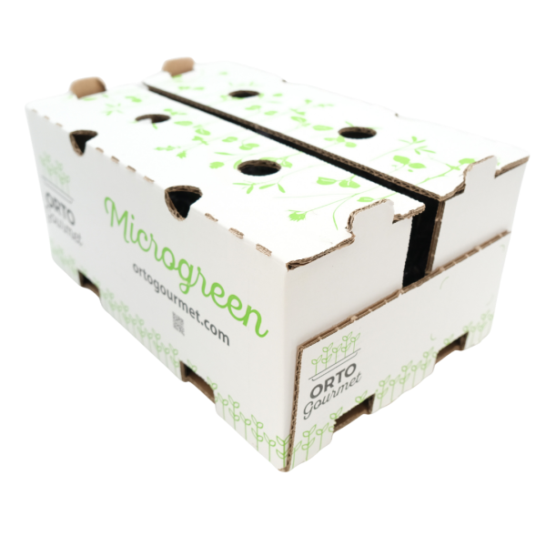 Micro Basilico Lemon 4 pezzi - immagine 1