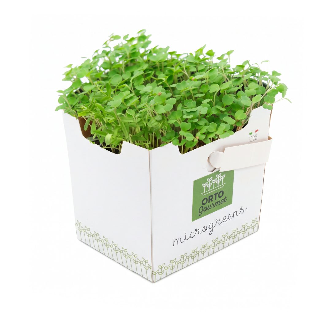Micro Rucola 1 pezzo
