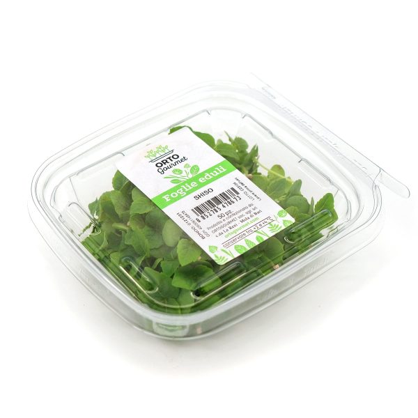 Micro Shiso Verde Vaschetta I Gamma - immagine 1