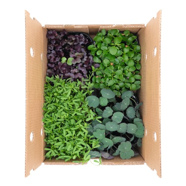 Micromix Meat 4 pezzi - immagine 1
