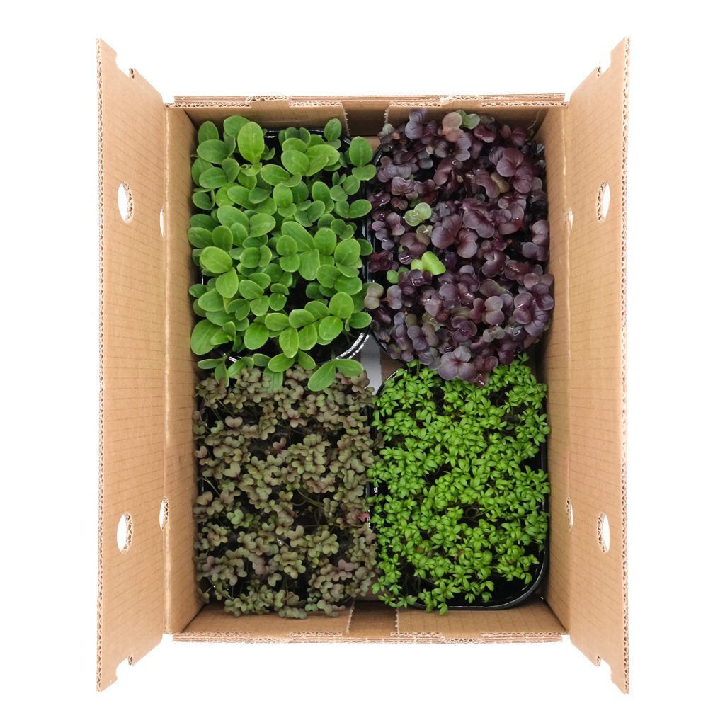 Micromix 4 pezzi