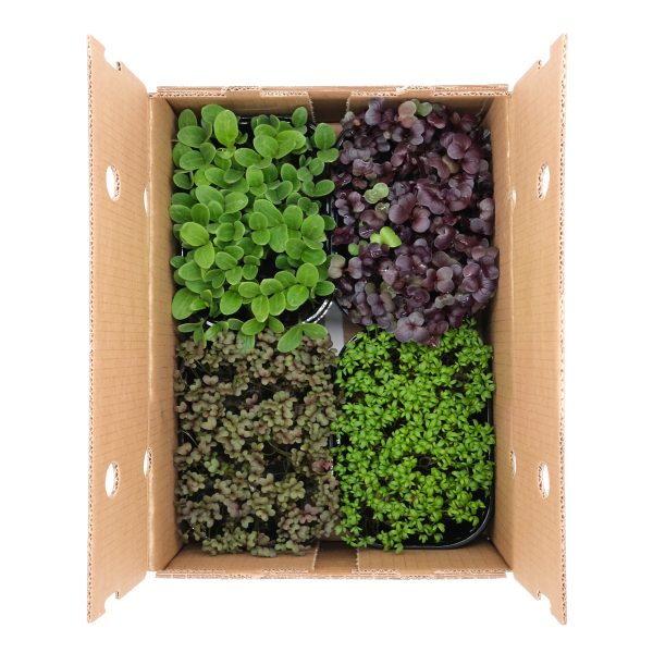 Micromix 4 pezzi - immagine 1