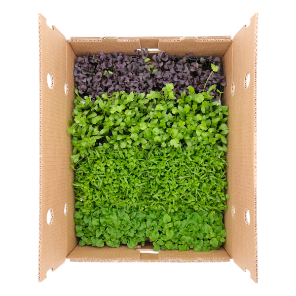 Micromix Aroma - immagine 1