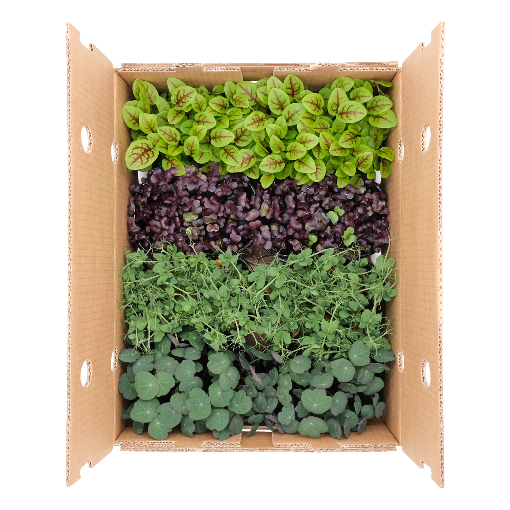 Micromix Premium