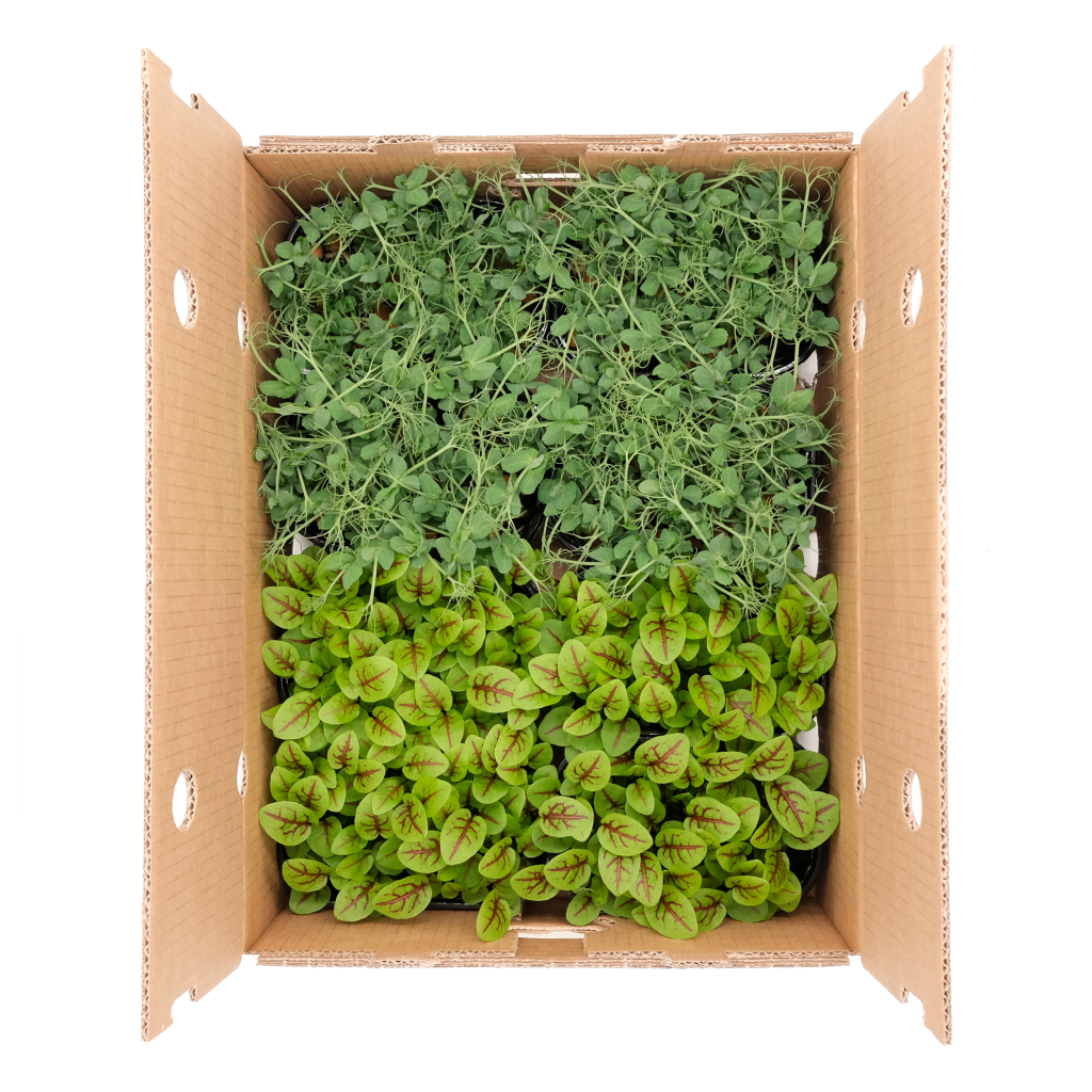 Micromix Top