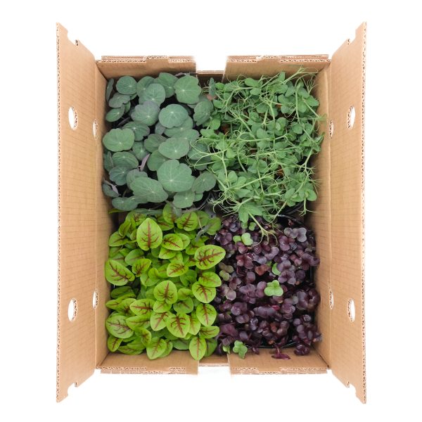 Micromix Premium 4 pezzi - immagine 1